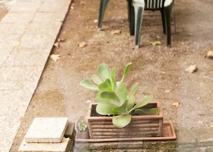 Apartment Cozy & Real Trastevere Rom
